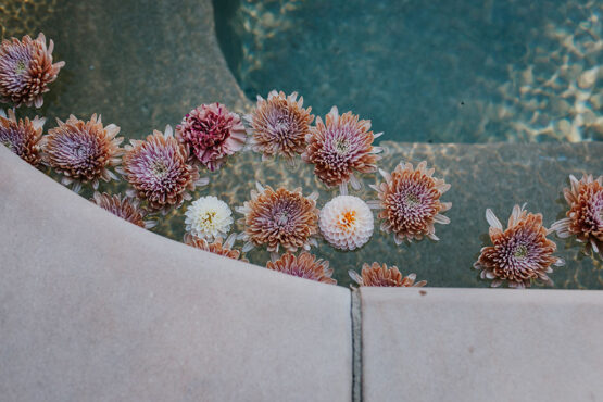 close-up of large pink flowers floating in the hot tub