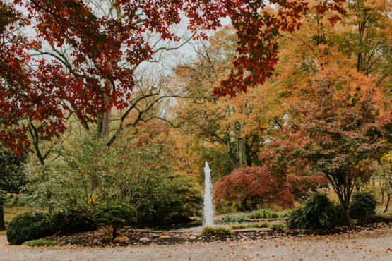 The grounds and fountain on the front drive of the estate at cherokee dock's mansion