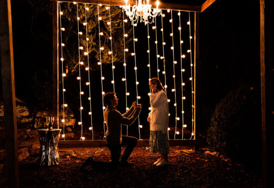 Proposal at Cheekwood Estate and Gardens